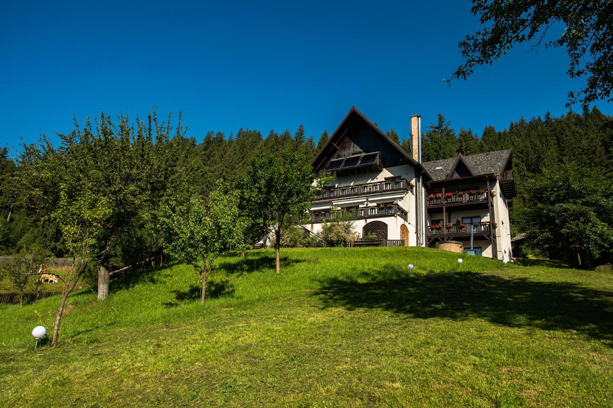 Bucovina Lodge Pension วามา ภายนอก รูปภาพ