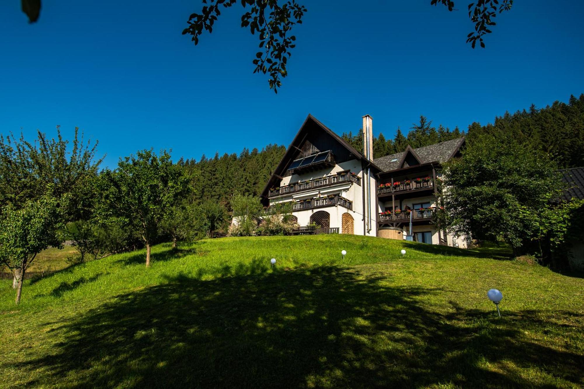 Bucovina Lodge Pension วามา ภายนอก รูปภาพ
